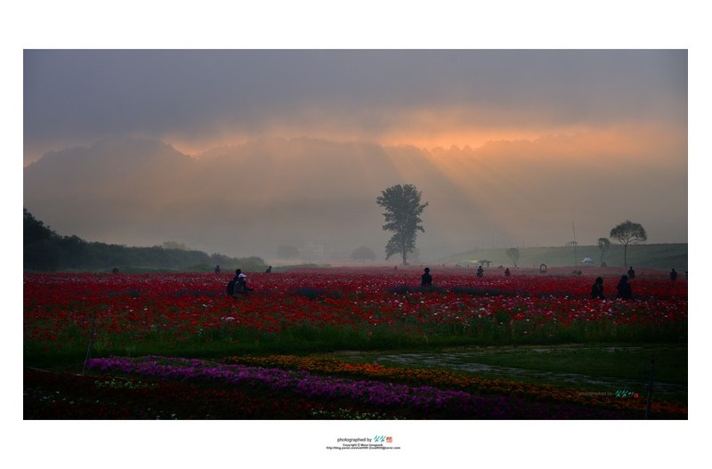 20220521#[함안]이른 아침에...