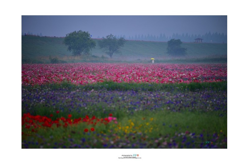 20220521#[경남함안] 이른아침에...2