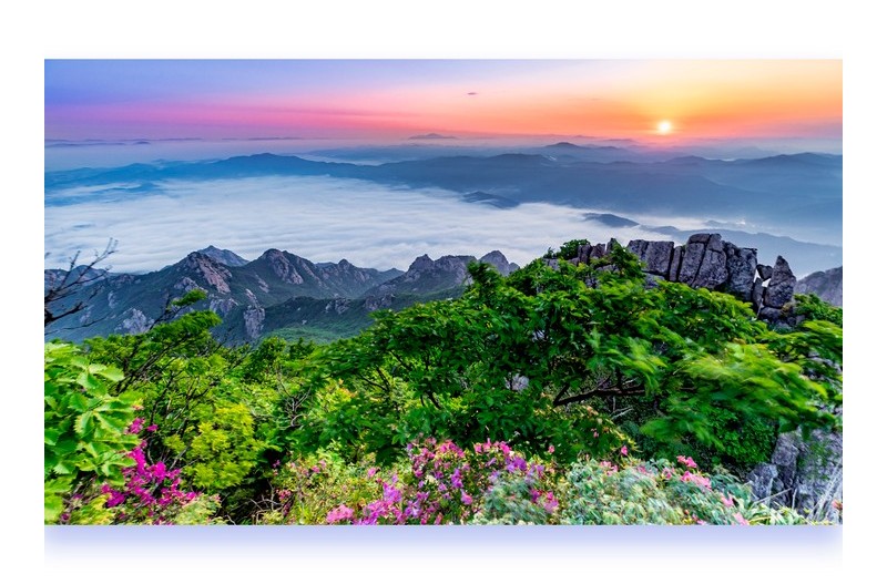 바람불어 좋은날