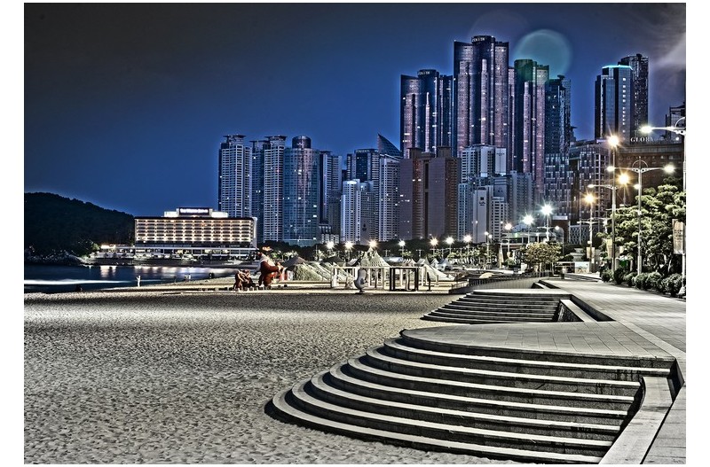 축제장으로 가는 새벽길