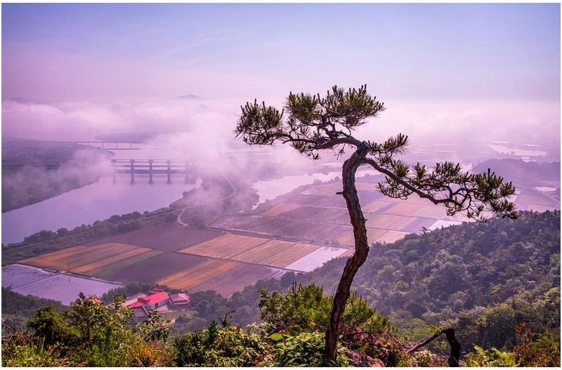 영산강 굽이도는