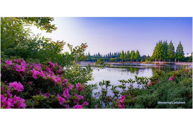 호숫가의 소경 ----