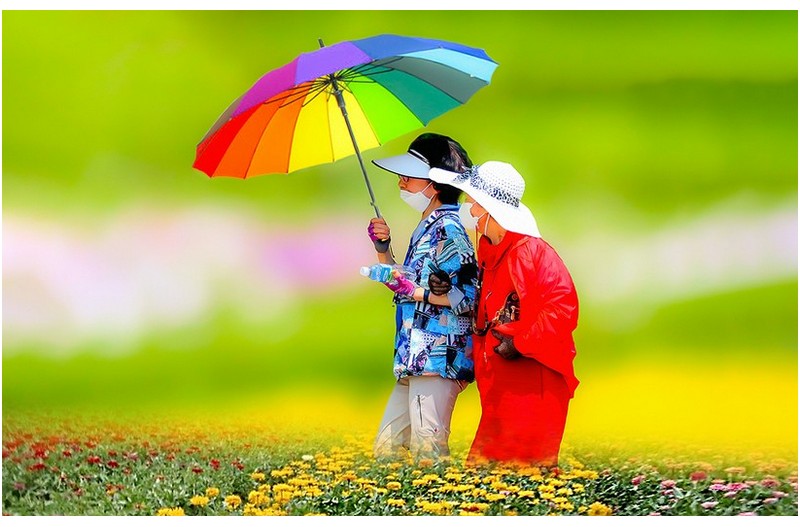 꽃길만 걸으세요? 어머니...