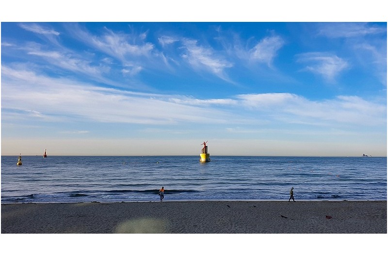 5월의 마지막 휴일