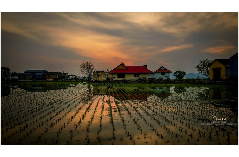 고요한 농촌의 아침