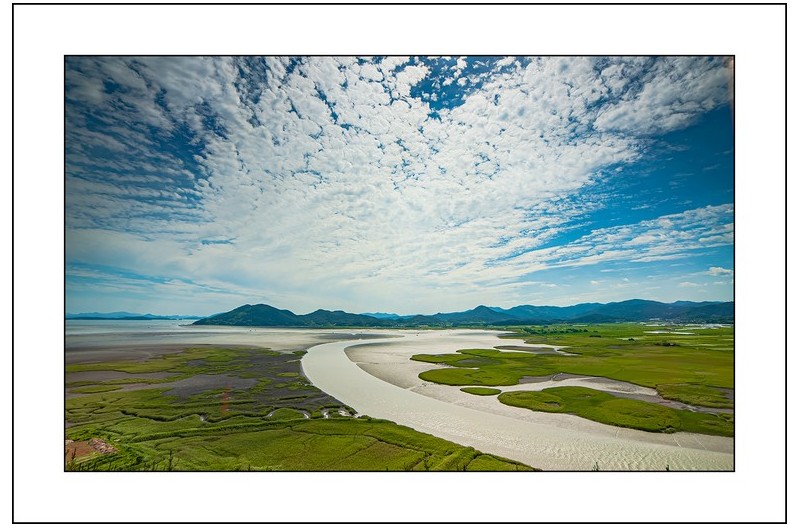 순천만의 여름,,