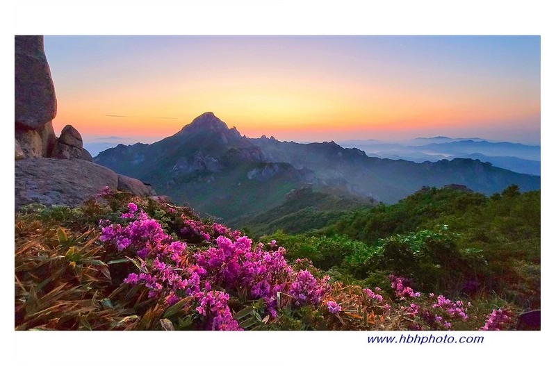 봄의 끝자락에서...