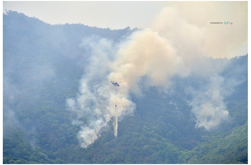 20220601#밀양산불