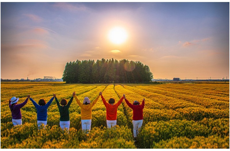 보리밭 사이 길로