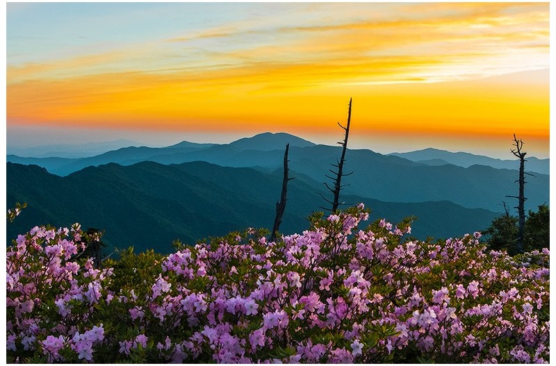 22.05.29 지리 제석봉~^^