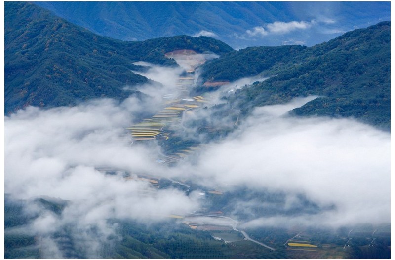 운무속 다랭이논