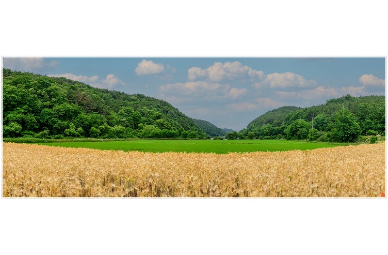 농촌들녘