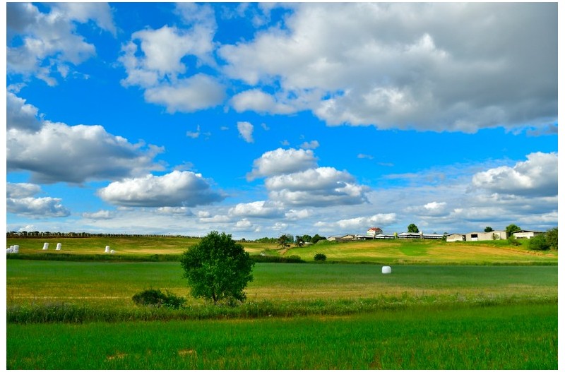 아름다워던 - 목장의 하늘