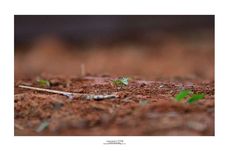 20220612# 지금은 작은...생명...