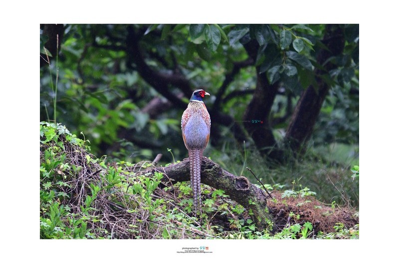20220614#비오는 날 인연...