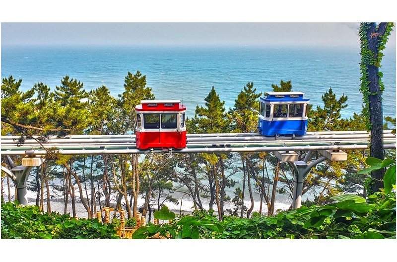 사랑을 실은 갭슐열차