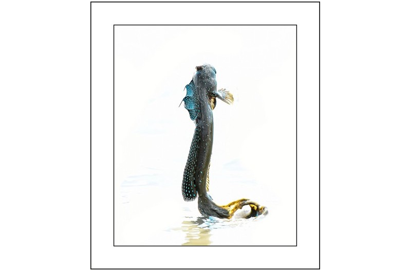 저높은곳을 향하여,,,,