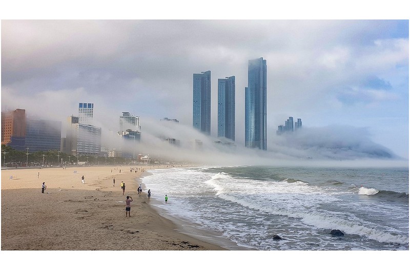 6.24 해무...기다림의 선물