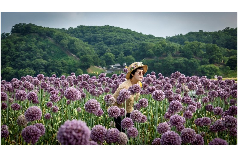 공주 미르섬에서