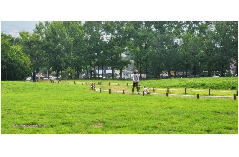 아침 산책길에 ------