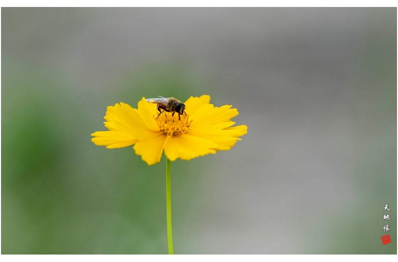 문씨세거지에서