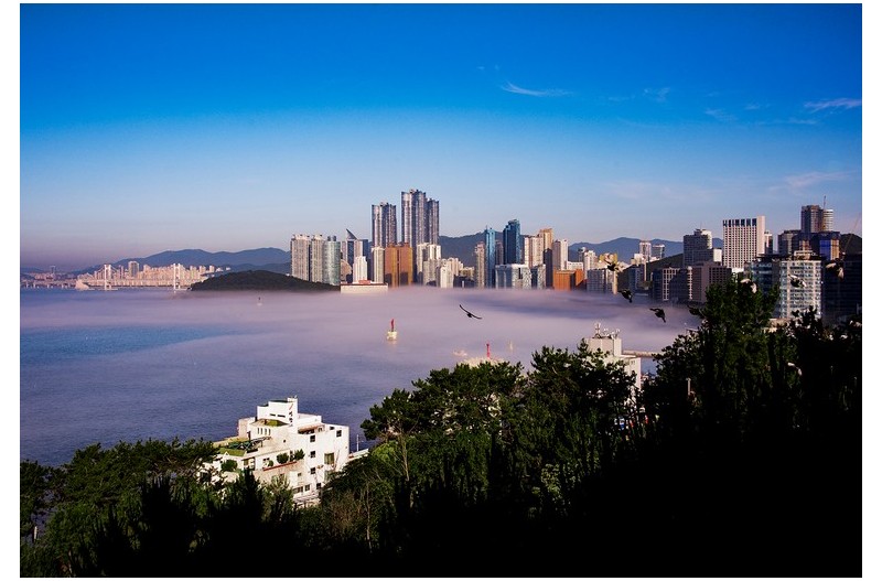 수면위를 타고 들어오는 해무