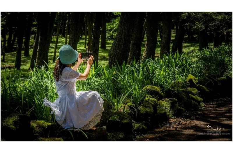 빛을 담는 여인