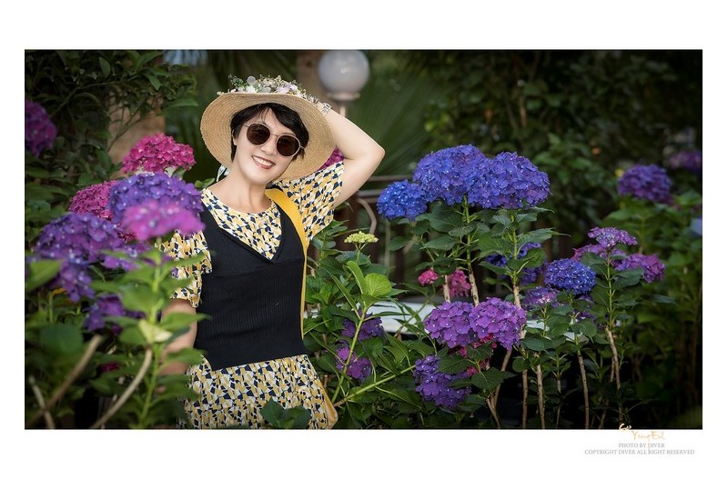 수국,수국속에 #2