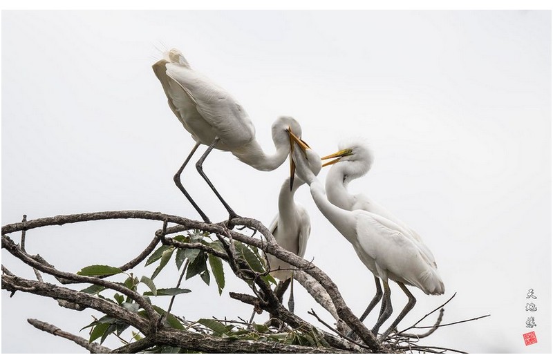 어누겄이 유조인지