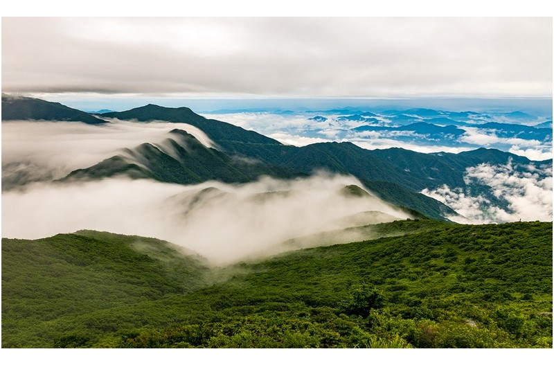 하늘문이 열리고~