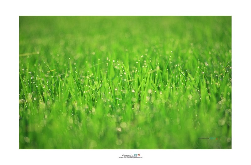 20220705# 이른아침에...