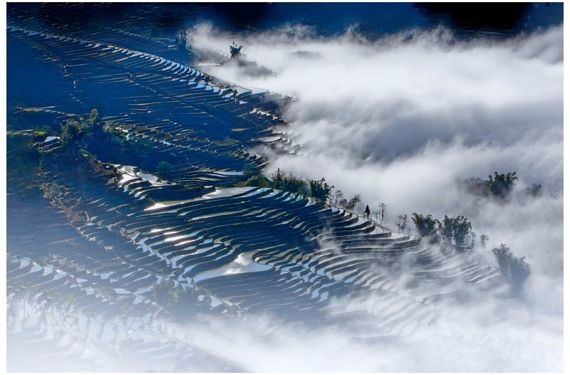 운무속 다랭이논