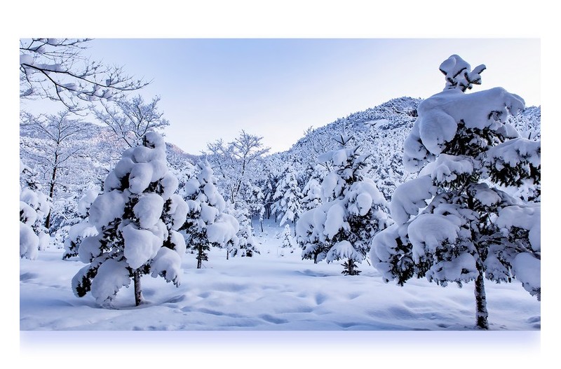 잠시 쉬어 가세요^^