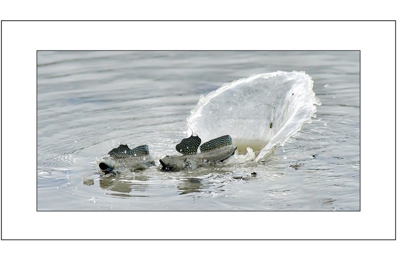 아름다운사랑,,,