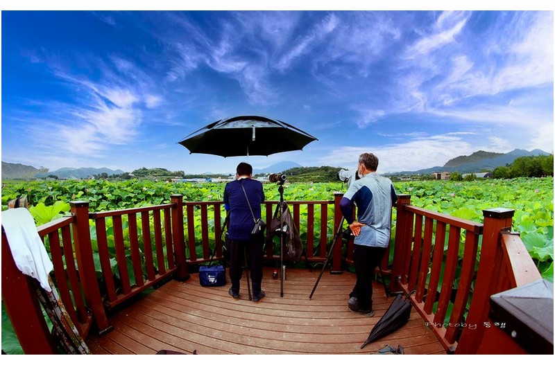 주남에서  ㅡㅡㅡㅡㅡㅡㅡㅡㅡㅡㅡ