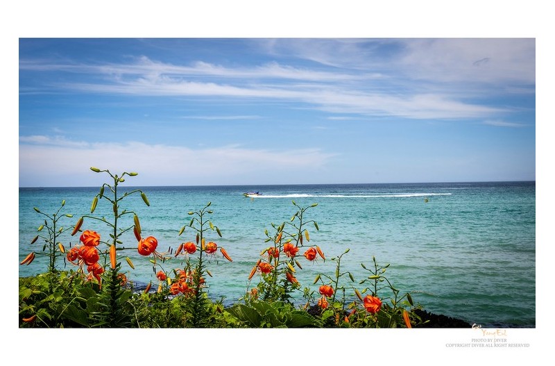 에메랄드 빛 바다가 부른다