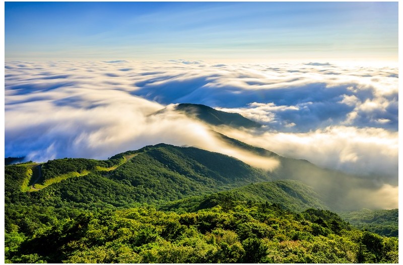 그야말로 운해바다