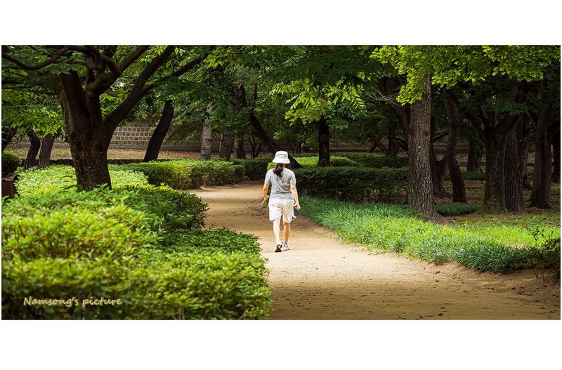 아침 산책길에 ----