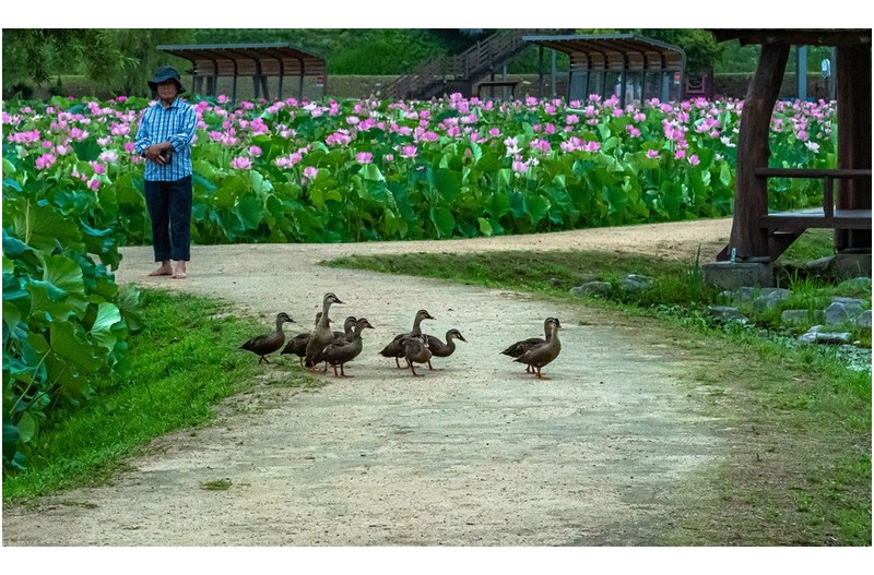 너희도 맨발 나도 맨발