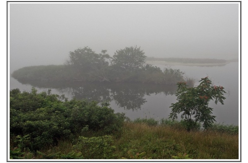 남대천 하구 안개