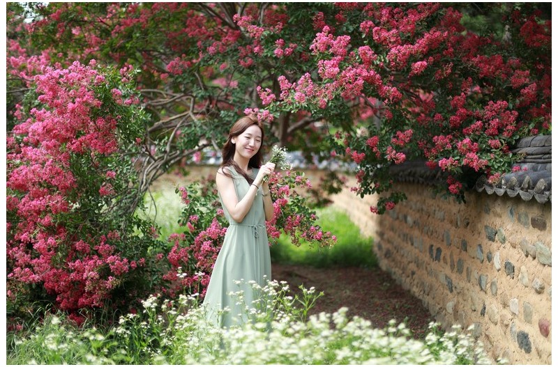 배롬나무 아래서