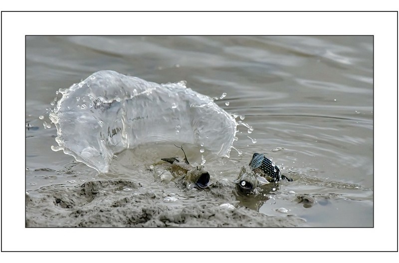 연인들의 이야기,,