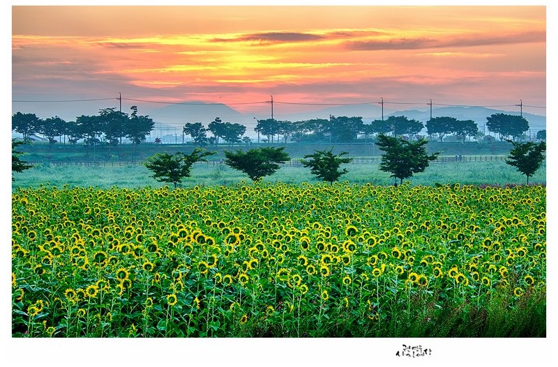동녘이 밝아올 때