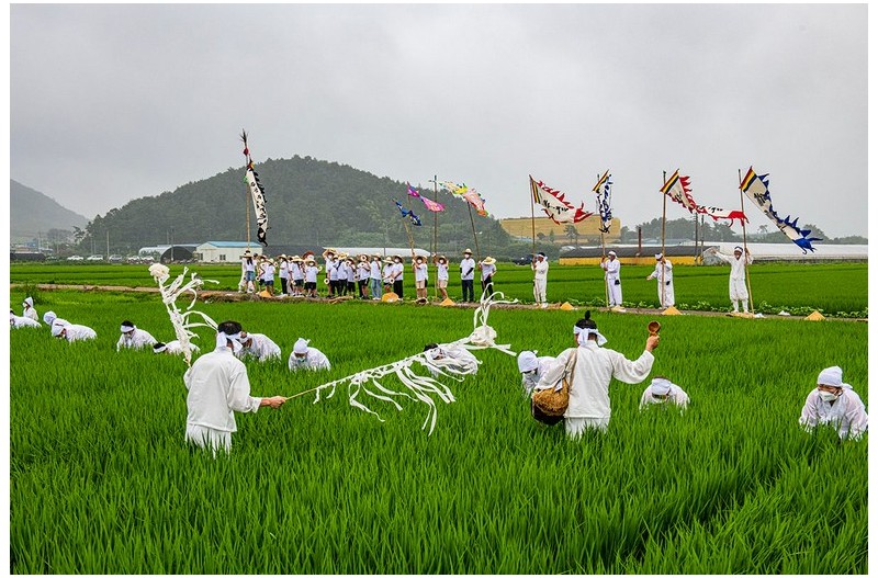 서창만드리 풍년제