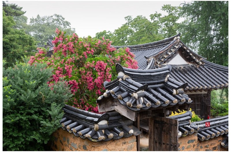 비 내리던 월연정