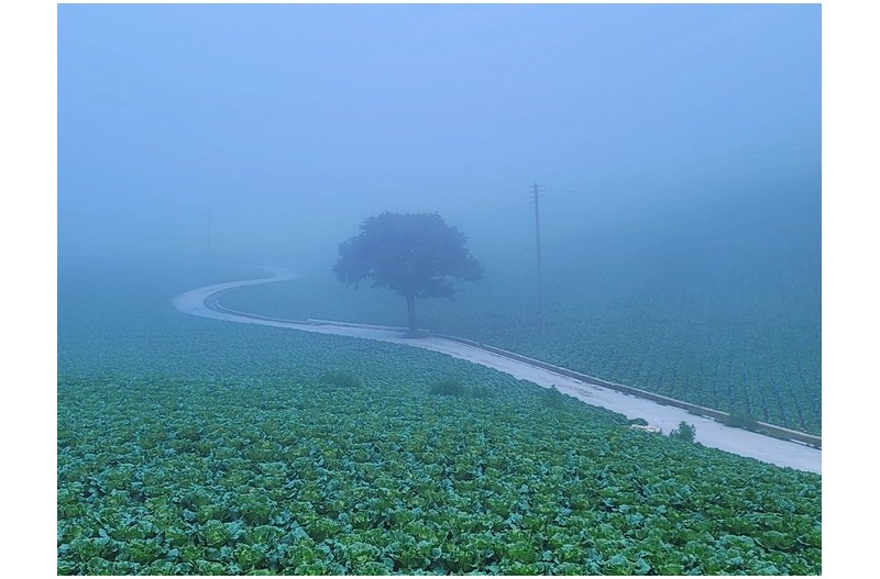 안개낀 바람의 언덕