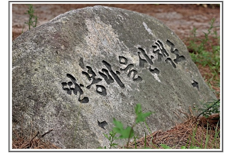 땀봉 마을 버섯 들