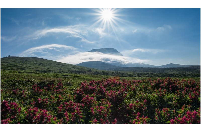 한라산의 여름1