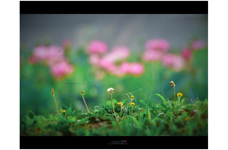 20220729# 낮은 곳에서...