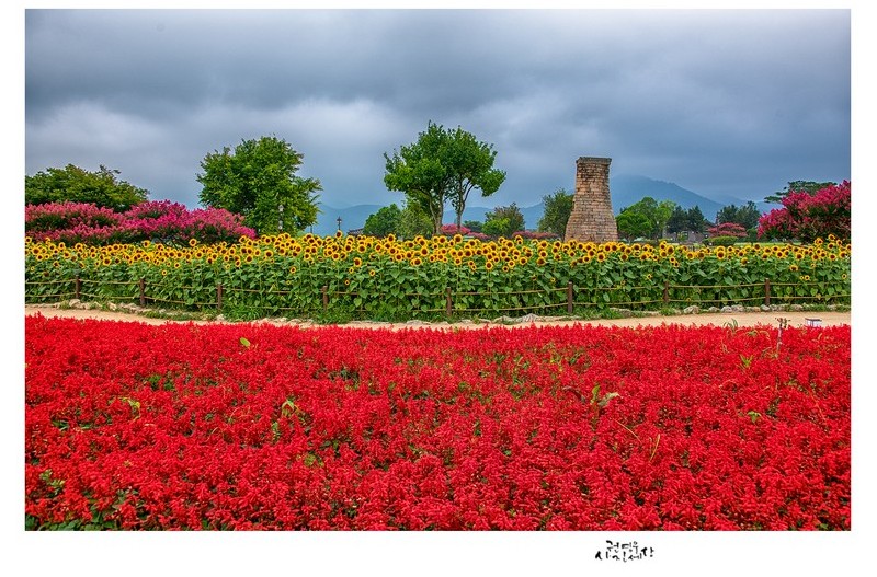 여름에 찾은 첨성대